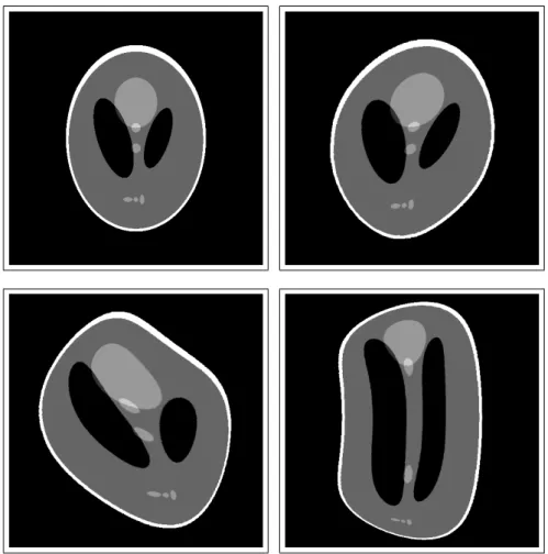 Figure 5: Phantom of the considered dynamic fan-beam deformation. Top left: