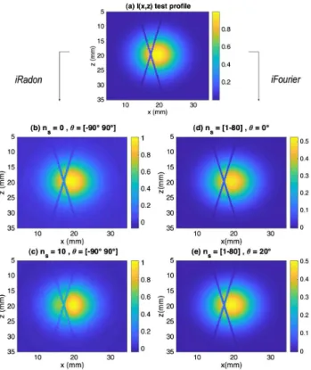 Fig. 5. (a) Original test image where the test object is a 30° angled absorbing cross superimposed on a Gaussian light profile.