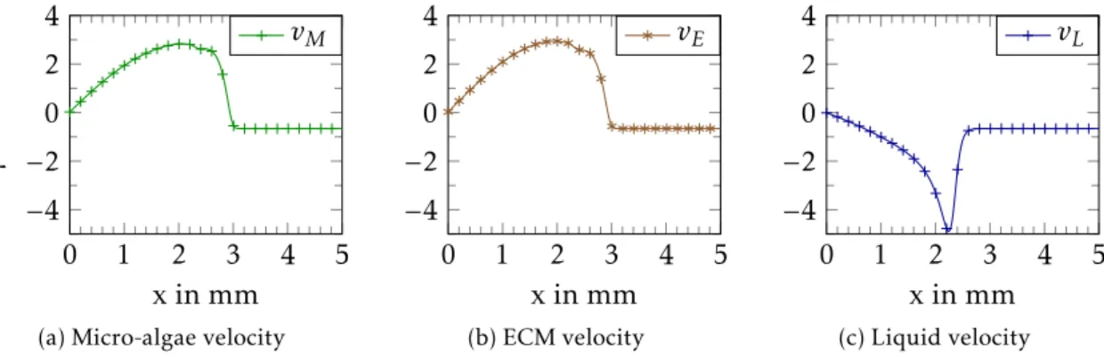 Figure 2.3 – Velocities of the micro-algae (on the left), the extra-cellular matrix (in the middle) and the liquid (on the right) with respect to space at t = 90 days.