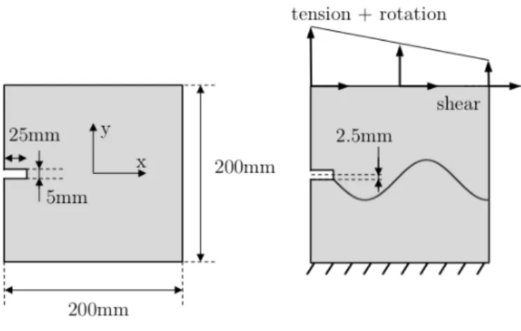 Figure 6: Test-case geometry and possible loading for the sinusoidal crack path