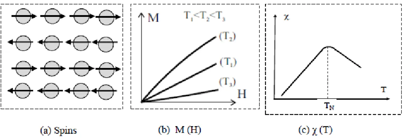 Figure I.3 : Antiferromagnétisme: (a) réseau de spins ; (b) l’aimantation en fonction du champ  magnétique d’excitation M(H) ;(c) la susceptibilité en fonction de la température χ (T) [7]