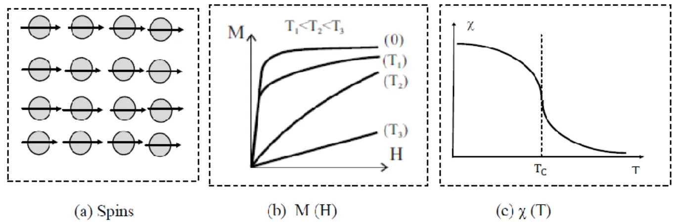 Figure I.6: Ferromagnétisme : (a) réseau de spins ; (b) l’aimantation en fonction du champ  magnétique d’excitation M(H) ;(c) la susceptibilité en fonction de la température χ (T) [7].