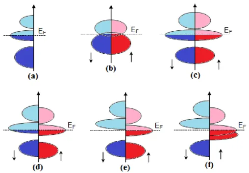 Figure I.12: Illustration schématique de la densité des états (a) d'un métal, (b)  semi-métal, (c) un métal (spin polarisé), (d) un ferromagnétique, (e) un  ferromagnétique demi-métallique, et (f) un ferrimagnétique demi-métallique [21]