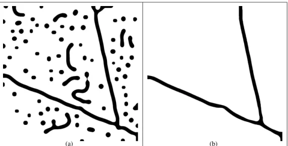 Figure 3.7. Experiments on Figure 3.6(a) at full resolution. (a)-(b): results obtained re- re-spectively with the single-resolution primary energy E primary and the high-resolution energy E HR .