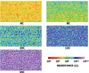 FIG. 2. Typical topography map (1 lm  0.5 lm) obtained by PFM- PFM-Resiscope with a Cr/Pt-coated tip on a C10 sample, showing the small grains of the gold substrate