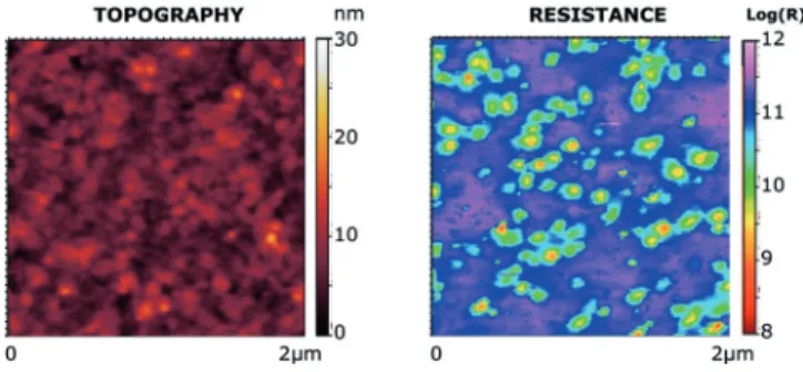 FIG. 5. Typical topography and resistance maps obtained by PFM- PFM-Resiscope with a PtIr-coated tip (3 V biased) on a P3HT:PCBM solar cell active layer on ITO/glass substrate.