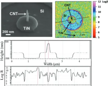 FIG. 7. Application of the PFM-Resiscope technique (max force 5–10 nN) for imaging individual vertical carbon nanotubes