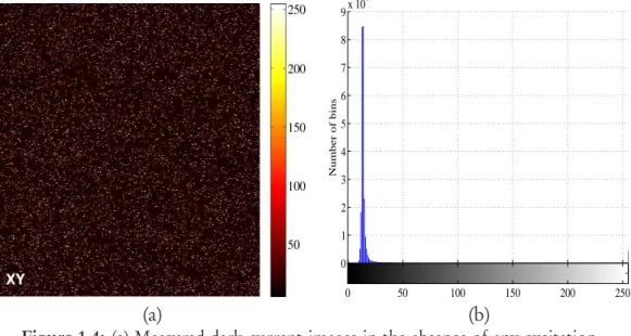 Figure 1.4: (a) Measured dark current images in the absence of any excitation or sample, and the settings adjusted for permissible detector gain and amplifier offset range ( c INRA), and (b) histogram of the dark image