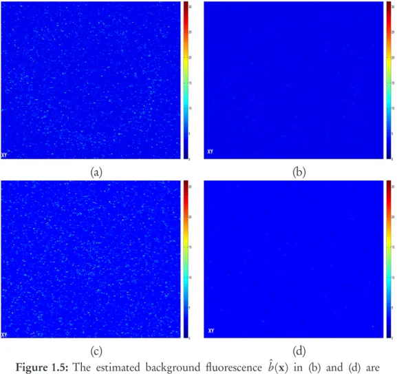 Figure 1.5: The estimated background fluorescence ˆ b (x) in (b) and (d) are from (a) the first slice and (c) the last slices of an observed  pho-ton counts having very sparse object fluorescence ( c  Ariana-INRIA/I3S, INRA)