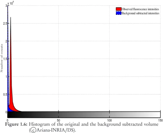 Figure 1.6: Histogram of the original and the background subtracted volume ( c Ariana-INRIA/I3S).