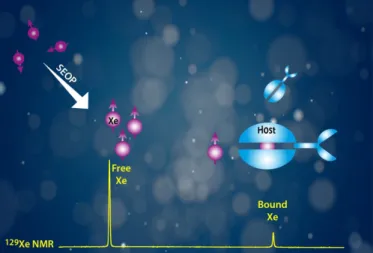 Fig.  1.  Principle  of  the  129 Xe  NMR-based  biosensing  approach.  Xenon  is  polarized  by  Spin-Exchange  Optical  Pumping  (SEOP)  and  introduced  into  the  sample  containing  xenon hosts