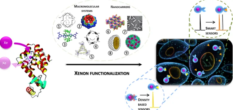 Fig. 3 - Carriers encapsulating hyperpolarized xenon and targeting analytes of interest leading to density-based and smart sensors