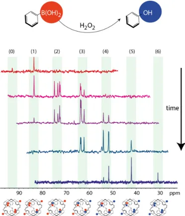 Fig. 5. Time evolution of the  129 Xe NMR spectrum (high-field region) of xenon caged in a  biosensor  let  in  the  presence  of  oxygenated  water