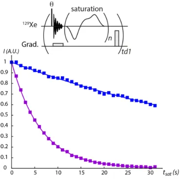 Fig.  7.  129 Xe  HyperCEST  depolarization  curves.  Top:  example  of  pulse  sequence  (providing a 2D matrix with each row corresponding to a saturation time t sat )
