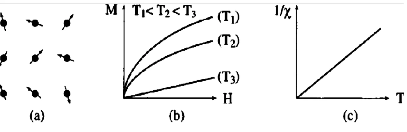 Figure I.2 : Paramagnétisme : (a) Un réseau de spins, (b) Variation de l'aimantation sous  champ appliqué, (c) Variation thermique de 1/χ.