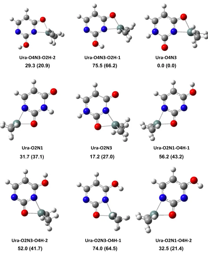 Figure  2:  Structure  and  CCSD(T)/6-31+G(d,p)//M11L/6-31+G(d,p).+ZPE  relative  energies  (kJ/mol)  of  the  lowest-energy  structures  obtained  for  the  [(CH 3 ) 2 Sn(Ura-H)] +   complex