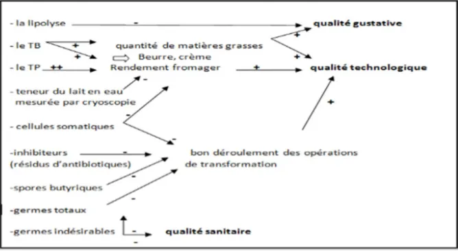 Figure n°3 : Les critères de qualité du lait et leurs impacts (Cauty et Perreau, 2009).