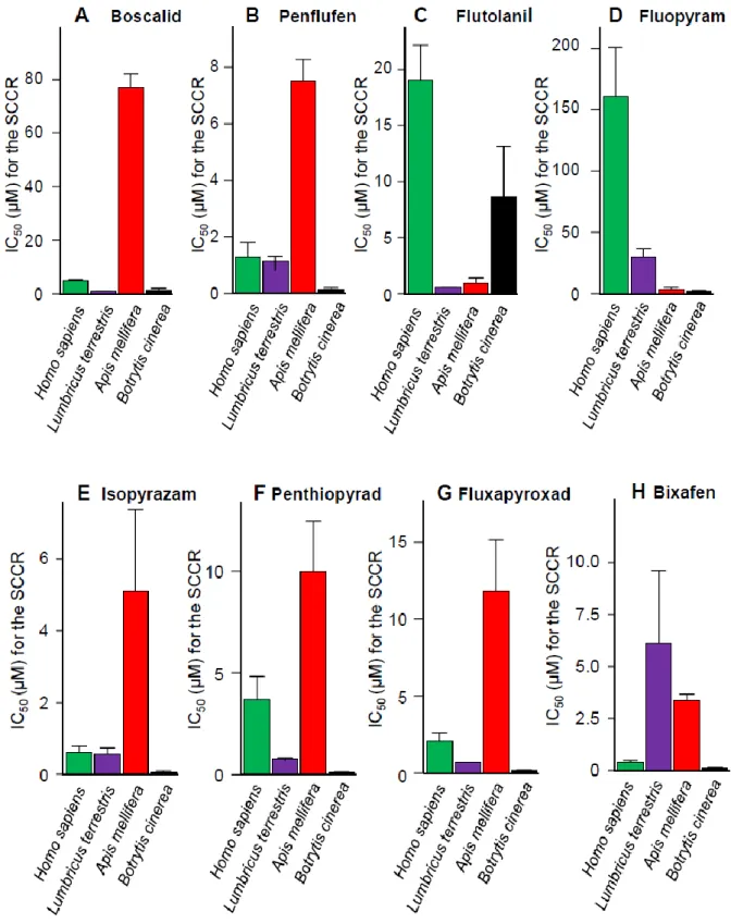Figure 4. Valeurs des IC50 des SDHI sur la succinate cytochrome c réductase (SCCR) d'Homo  sapiens, de Lombricus terrestris, d'Apis mellifera et de Botrytis cinerea