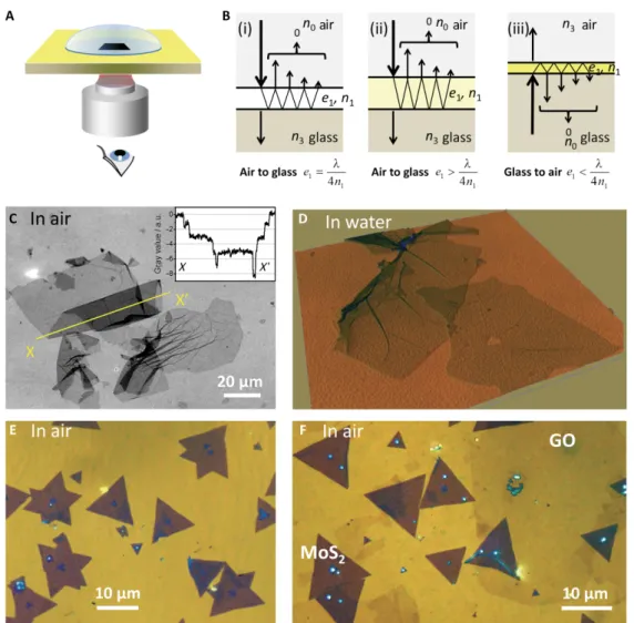 Fig. 1. Principle of BALM and example of images of 2D materials. (A) Representation of the BALM geometry: The image is obtained in reflected light microscopy; immersion oil avoids parasitic reflections between the objective and the transparent window