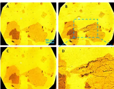 Fig. 3. Adsorption of Fe 3 O 4 nanoparticles on r-GO. BALM images of r-GO (green channel and color scale “ orange hot ” of ImageJ software) flakes before (A) and after (B) the deposition of the 5-nm Fe 3 O 4 nanoparticles