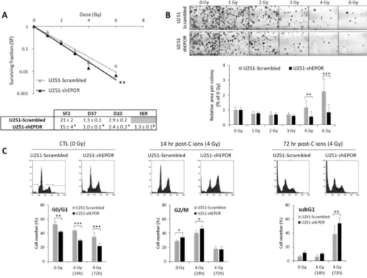Figure  6.  Effect  of  erythropoietin  receptor  (EPOR)  downregulation  on  the  sensitivity  of  U251  glioblastoma  cells  to  carbon  ion  radiotherapy