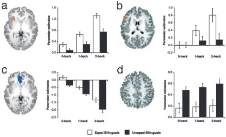 Table 3. Brain regions showing differential activation between equal and unequal bilinguals (random effects analysis, threshold P < 0.001)