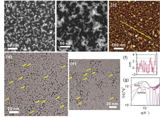 Fig. 3 STEM images of mAllo (a) and Allo (b), AFM image of mAllo (c) and cryo-TEM images of mAllo (d) and  245 