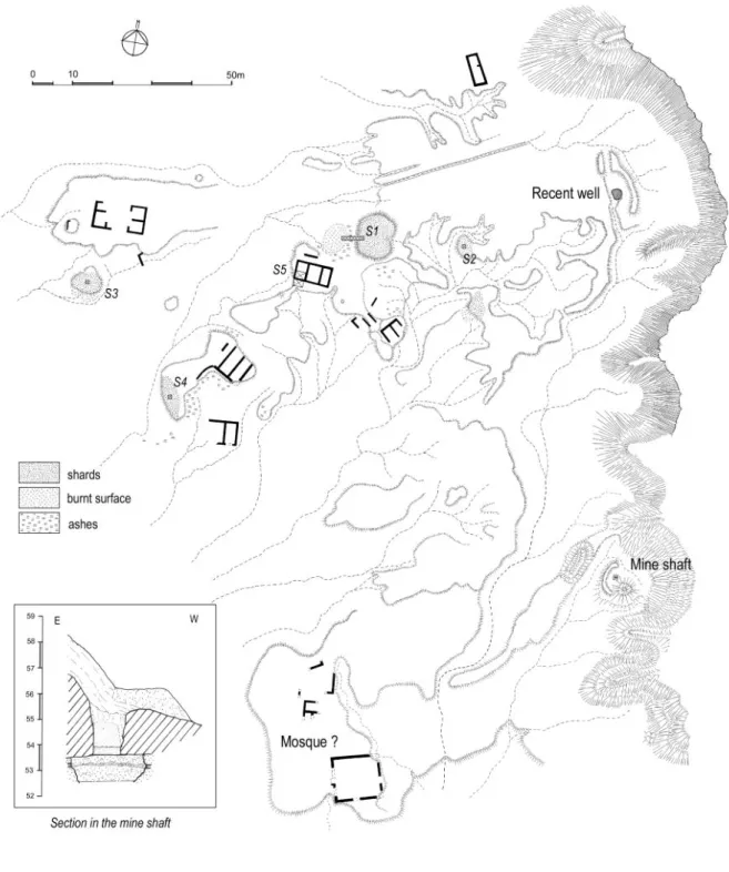 Fig. 6- Yad/.g/-at/., plan of the site. 