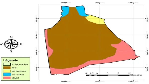 Figure n° 04 :Carte pédologique de la zone humide de la Macta  (C.F. Mostaganem, HACHEMI 2018).