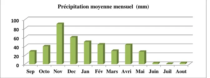 Figure n° 07 :Histogramme des précipitations mensuelles en mm (2006-2016)020406080100