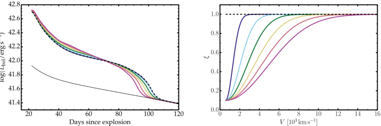 Fig. 6. Bolometric light curves (left) for a set of 2D clumped models for the 2P case in which the radial clumping profile ξ(V) is modified