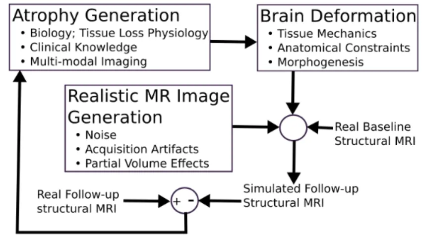 Figure 2.1: High level systems diagram for modeling and simulation of longitu- longitu-dinal MRIs in AD patients