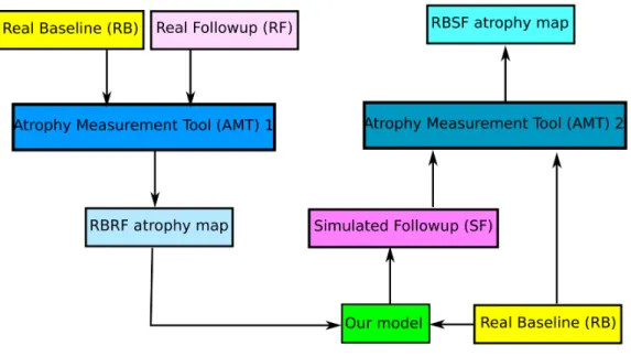 Figure 2.15: Pipeline illustrating the measurement of atrophy from i) RBRF: real baseline with respect to real follow-up, and ii) RBSF: real baseline with respect to simulated follow-up