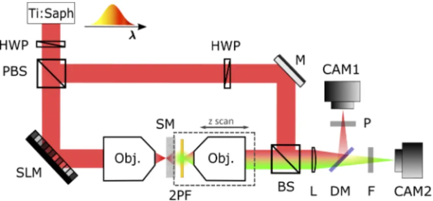 Fig. 1. Experimental setup scheme. HWP: half wave plate, PBS: polarized beam splitter, SLM: spatial light modulator, Obj.: microscope objective, SM: scattering medium, 2PF: