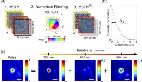 Fig. 2. Principles of spectrally-dependent PSF engineering. (a) Fourier filtering of MSTM with a spectrally-dependent mask M(k x , k y , λ ) gives rise to a new operator, denoted MSTM filt , which can be used as standard MSTMs