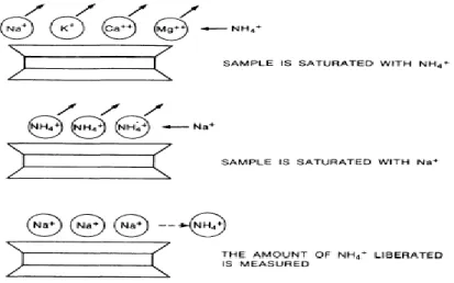 Tableau I.2 : Relation entre type de cations et gonflement  Gupta et al (1967)cité par Gueddouda, (2005)  c