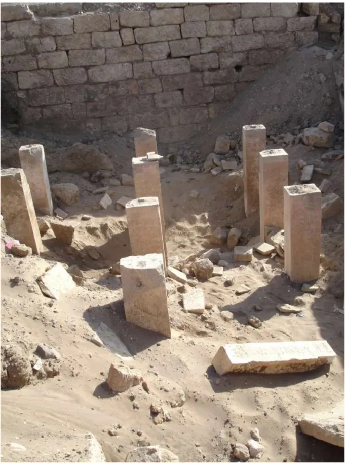 Fig. 2. Les trois rangées des piliers inscrits avec une partie du mur d’enceinte du temple