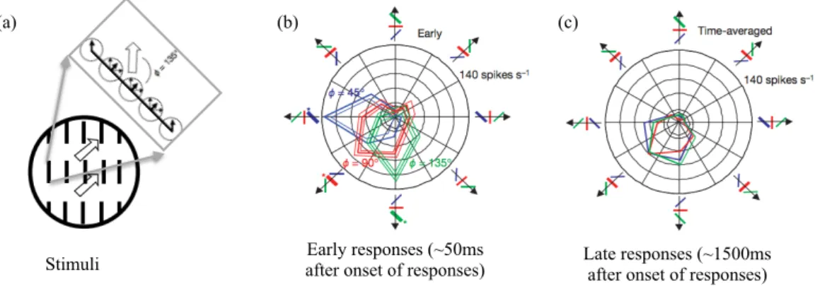 Figure 2.14: Figure illustrating temporal emergence of the tuning behavior with ori- ori-ented bars