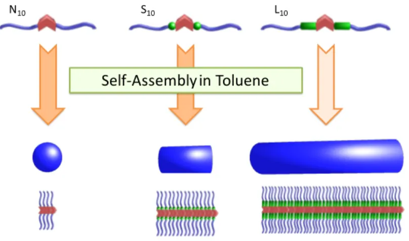 Figure 5. Schematic representation of the influence of the spacer on the self-assembly of PS- PS-functionalized tris(urea)s assembling by 1D stacking through cooperative hydrogen bonding