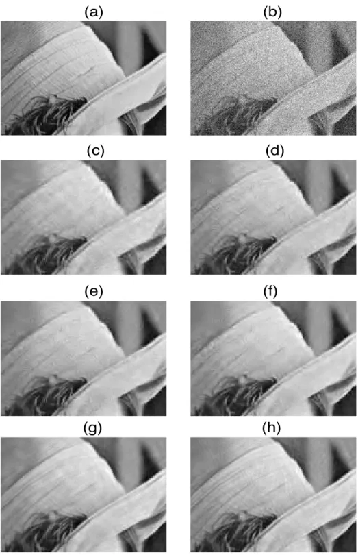 Fig. 6. Visual comparison of our block denoising to BLS-GSM on Lena 512×512. (a) original