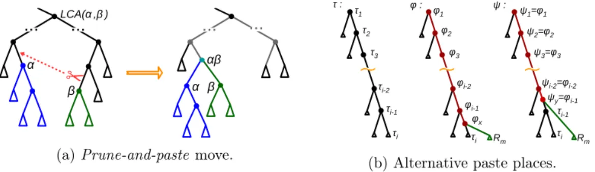 Figure 2.4: Family of moves to optimize BPTs.