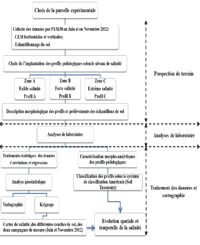 Figure 21. Démarche méthodologique  V.2.1. Analyse des documents de base  