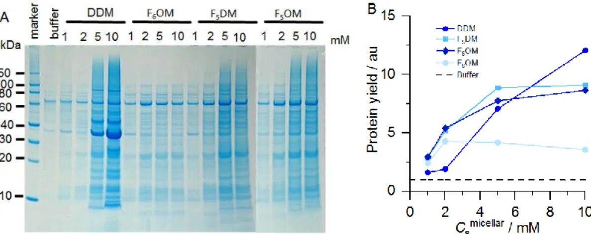 Figure  5.  (A)  SDS-PAGE  of  E. coli  membrane  extracts  upon  exposure  to  various  FSs  with  micellar concentrations as indicated