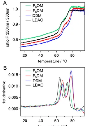 Figure 6. Thermal denaturation of FhuA by differential scanning fluorimetry. (A) Ratio of the  fluorescence emitted at 350 and 330 nm, and (B) derivative (bottom panel) for FhuA at 0.04  mg  mL -1 ,  incubated  in  the  presence  of  F 5 OM  at  CMC+2mM  (
