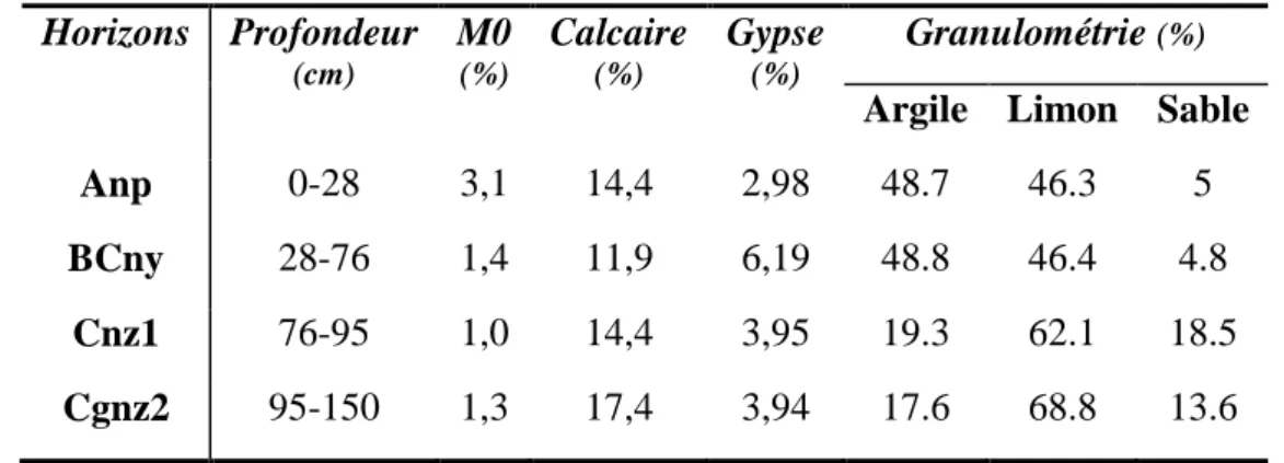 Tableau 24. Propriétés physiques et physico-chimiques du profil B  Horizons  Profondeur  (cm) M0 (%) Calcaire  (%) Gypse (%) Granulométrie  (%)