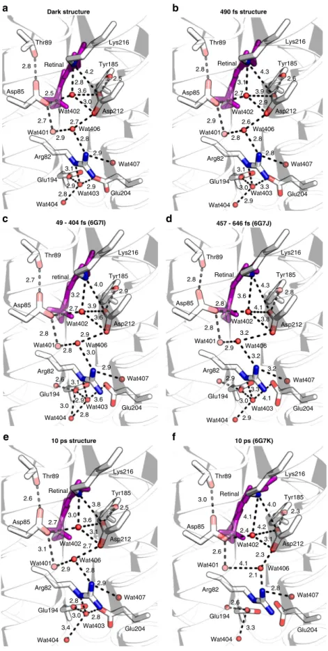 Fig. 10 Evolution of distances between residues and waters along the proton pathway in time