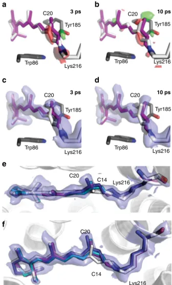 Fig. 5 Structure of the retinal in bacteriorhodopsin on the ps timescale.