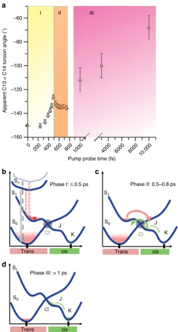 Fig. 7 Temporal evolution of the apparent C13 = C14 retinal torsion angle.