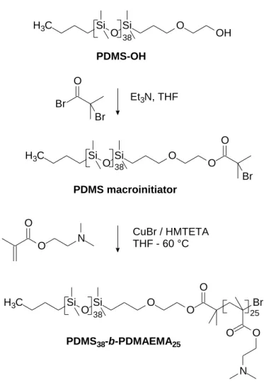 Figure 1. Synthesis of a PDMS-b-PDMAEMA block copolymer from a monohydroxyl- monohydroxyl-terminated PDMS