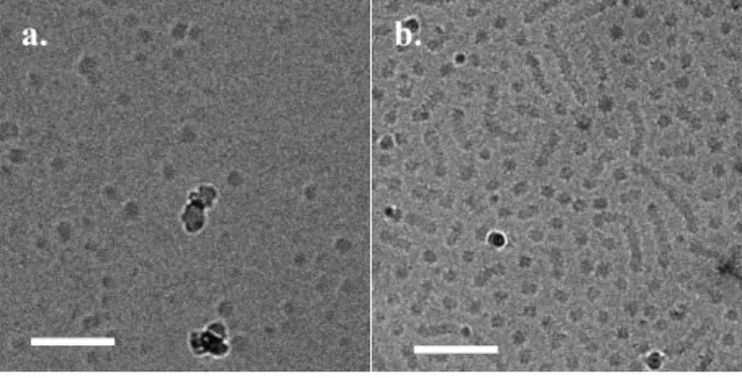 Figure 7. Cryo-TEM pictures of water – isopropyl myristate microemulsions formed in water  in the presence of PDMS 38 -b-PDMAEMA 25  a